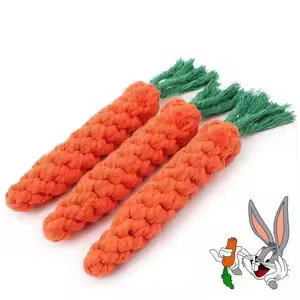 Carrot Detail